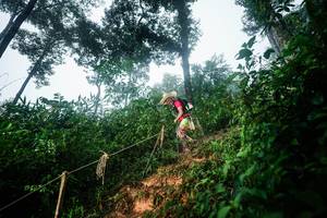 BIB: 
                            <button type="button" onclick="openModal(26203207)" class="btn btn-primary btn-sm float-right btn-popup" data-toggle="modal" data-target=".modal-high-quality">
                        <i class="fas fa-shopping-cart"></i> Add to Cart
                    </button>
                                            <button type="button" onclick="isThisMe(26203207, true)" class="btn btn-success btn-sm float-right btn-popup btn-isme hidden" data-toggle="tooltip" data-placement="bottom" title="นี่คือรูปของคุณใช่ไหม คลิกที่นี่เพื่อเอาเข้าอัลบั้ม">
                        <i class="fas fa-plus"></i> Add to album
                    </button>
                    <button type="button" onclick="isThisMe(26203207, false)" class="btn btn-warning btn-sm float-right btn-popup btn-isnotme hidden">
                        <i class="fas fa-ban"></i> Remove from album
                    </button>